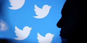 Twitter (Фото:REUTERS/Dado Ruvic/Illustration)