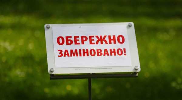 Компенсація за розмінування земель: від аграріїв надійшло заявок на 17 тис. га