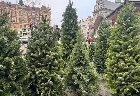 У Київській філії “Ліси України” проводились слідчі дії.