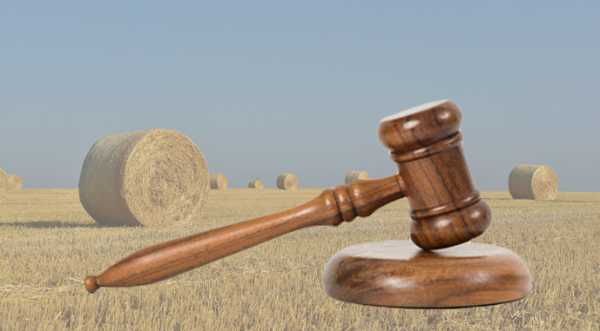 Земельний банк: держава отримала лише третину від запланованого