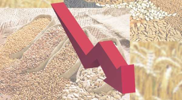 Втрати України через тіньовий ринок зерна скоротились до 3 млрд грн Втрати України через тіньовий ринок зерна скоротились до 3 млрд грн