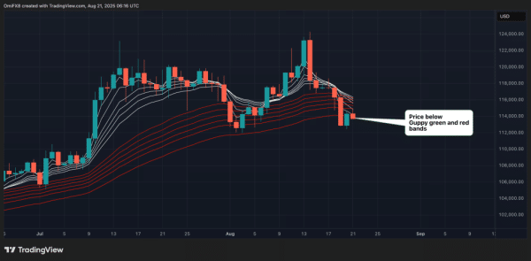 Щоденний графік біткойна та GMMA