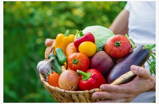 Що потрібно встигнути зробити дачнику у вересні в саду, городі та квітнику?