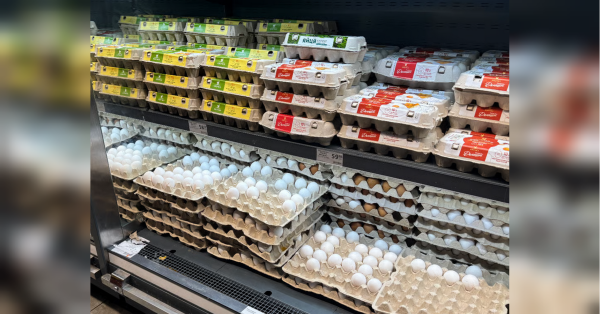 Яйця по 90-95 гривень за десяток: українців застерегли про зростання цін.