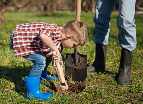 Які роботи чекають на дачі у серпні?
