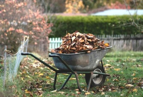 Календар дачника Чим зайнятися у жовтні?