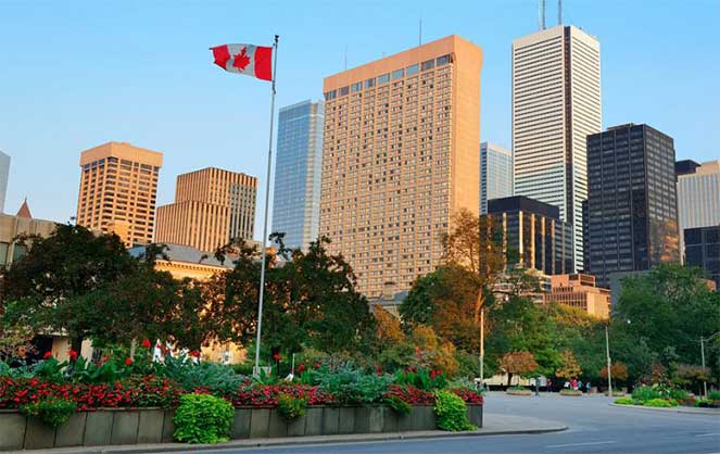 Як відкрити компанію в Канаді разом із Maple Business