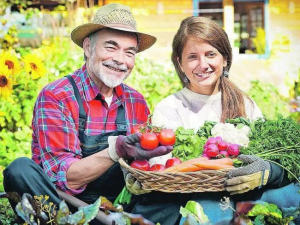 Як отримати врожай?: Абетка городника