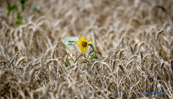 Земля: спрощена оплата при зміні власника – роз’яснення від податкової.