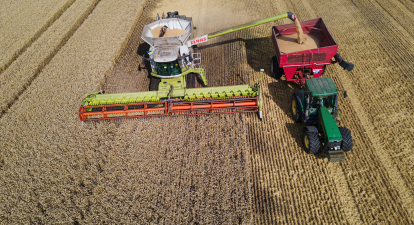 Україна підбила підсумки жнив 2025 року. Зібрано на 10 мільйонів тонн збіжжя менше, ніж торік.