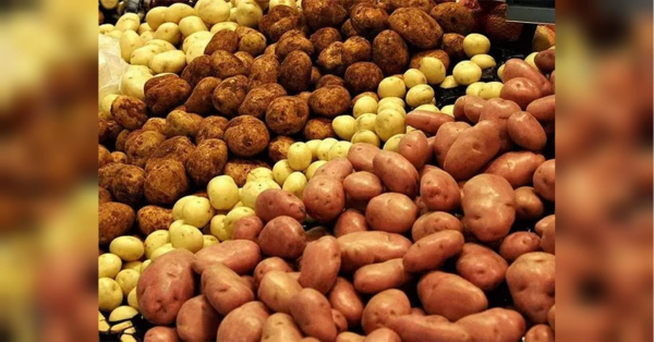 В Україні зростають ціни на картоплю: на ринку фіксують негативну динаміку. В Україні зростають ціни на картоплю: на ринку фіксують негативну динаміку.