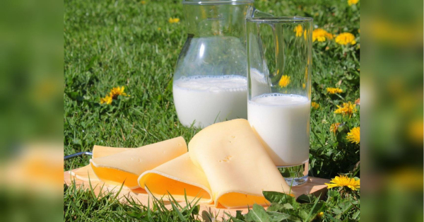 Молочні продукти дорожчають: дізнайтесь причини та цінові прогнози до кінця березня