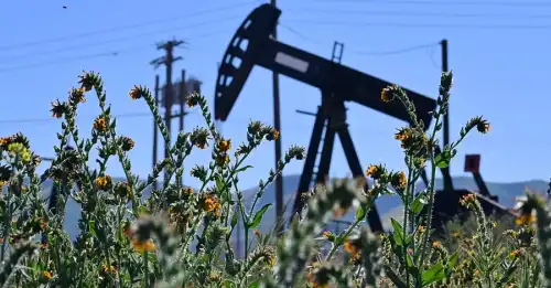 Паливна криза: як дефіцит продуктів та відмова від авто змінять ваше життя