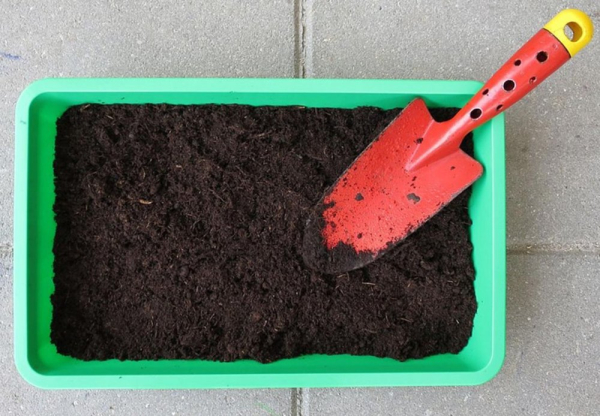 Ранньовесняні роботи в саду та на городі: все, що потрібно знати дачнику