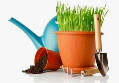 Весняний гектар: геніальний спосіб, як легко підготувати сад до сезону в квітні! Ви про це не знали!