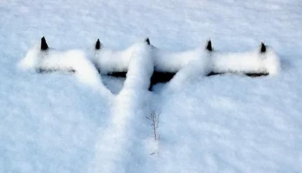 Геніальний спосіб підготувати ваш сад до весни: чим зайнятися в лютому, про що ви точно не знали!