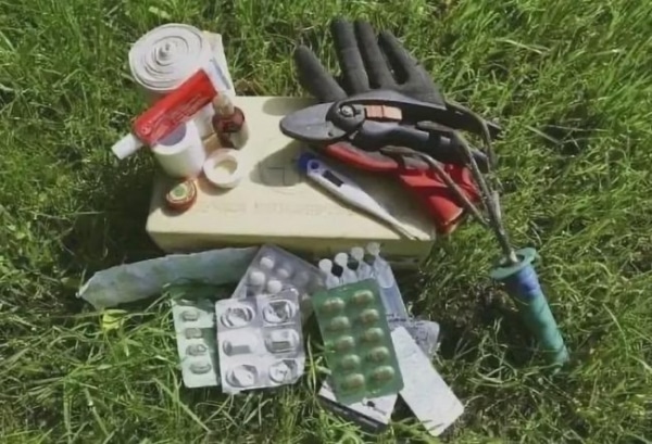 Як легко зібрати дачну аптечку: геніальний спосіб, про який ви не знали, і хитрість, що економить час