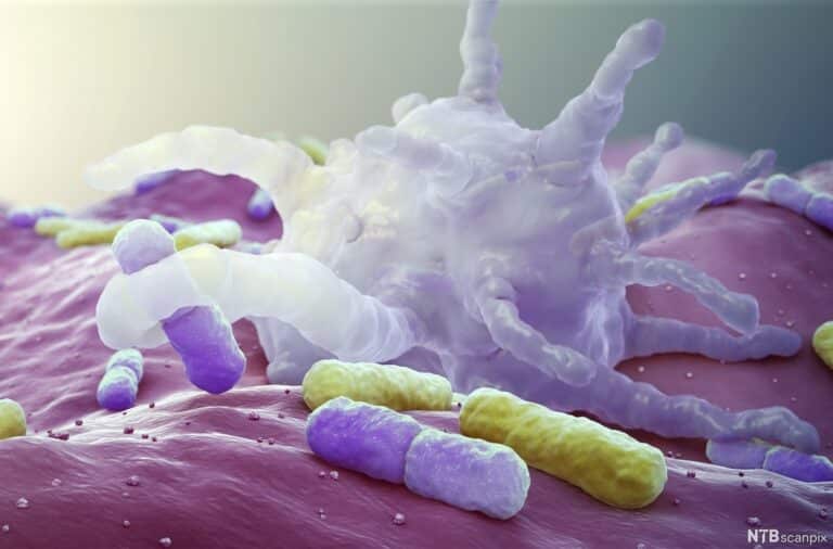 Нова модель медицини майбутнього – системний підхід до здоров’я та відновлення організму на рівні причин