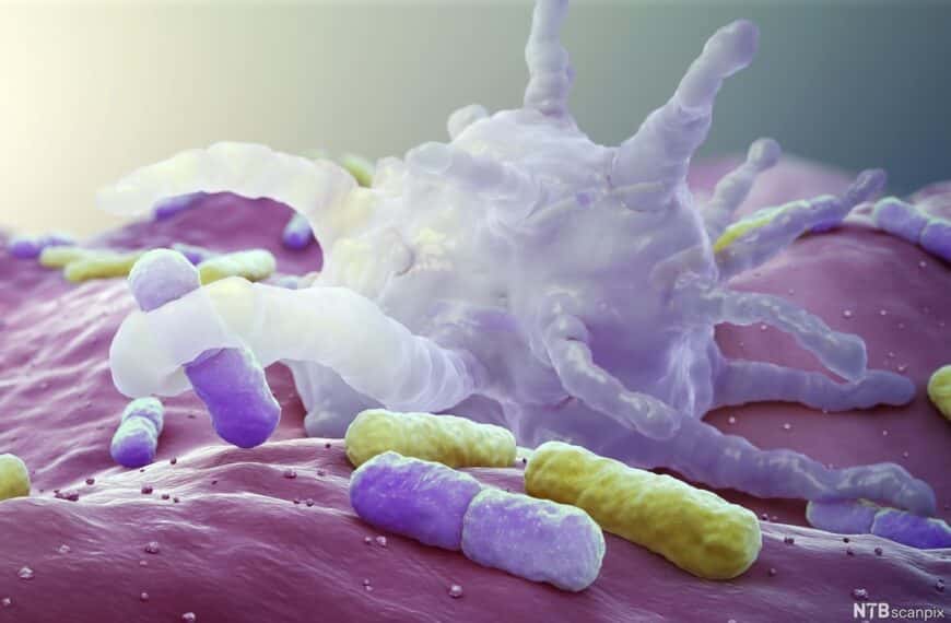 Нова модель медицини майбутнього - системний підхід до здоров’я та відновлення організму на рівні причин