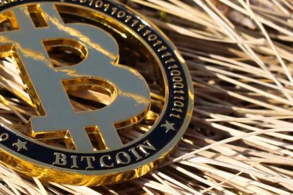 Аналітики прогнозують майбутнє Bitcoin: що чекає на криптовалюту? Аналітики прогнозують майбутнє Bitcoin: що чекає на криптовалюту?
