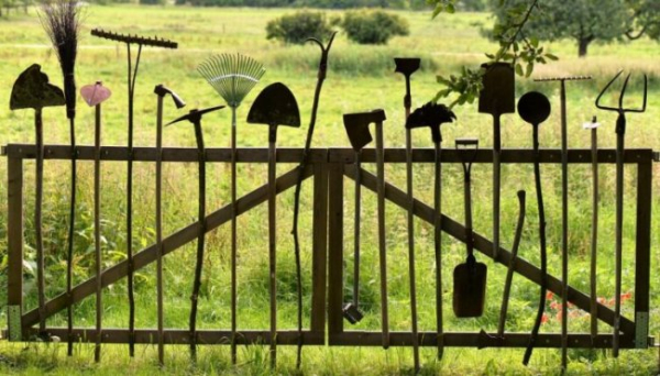 Геніальний спосіб вибрати паркан, що захистить, але не зіпсує ділянку: ви про це не знали! Як легко знайти ідеальну огорожу, що економить час і нерви!