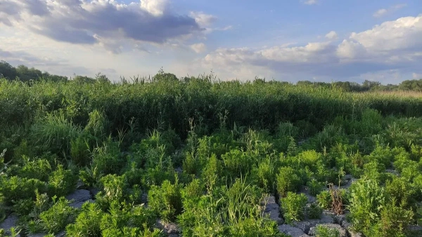 План відновлення після підриву Каховської ГЕС