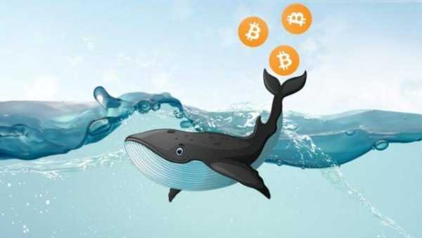 Кити акумулюють Bitcoin: як це вплине на ринок альткоїнів?
