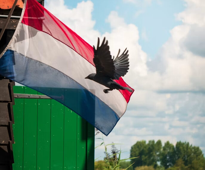 Пошук вакансій у Нідерландах для українців із гарантією від агентства Eurocashagency