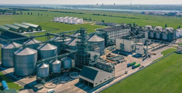 Allseeds призупиняє діяльність в Україні: що відомо про масштабні зміни