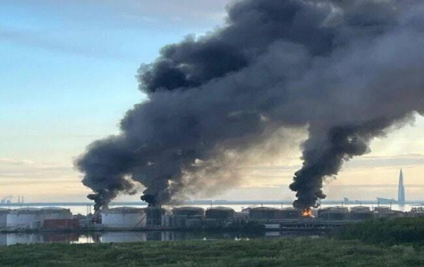 Росія скорочує зерновий експорт: подорожчання пшениці з Азову неминуче