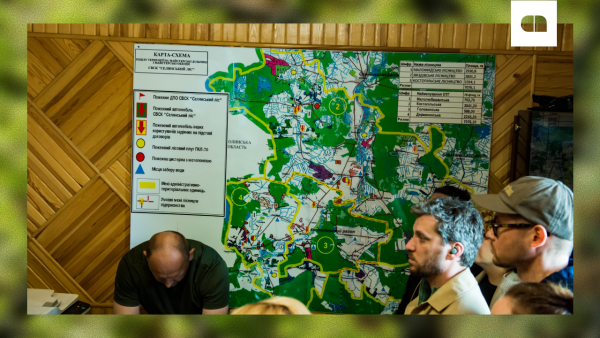 Treepillya мапа лісництва