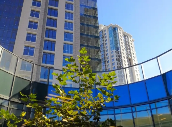 City One Development: підсумки року та ключові тренди первинного ринку нерухомості 2024