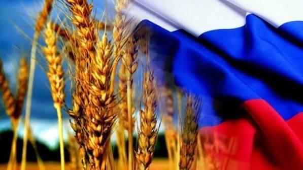 Логістичні проблеми РФ: як Азовське море впливає на ціни зерна