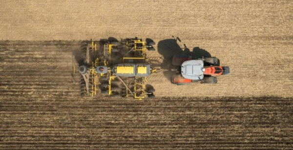 На Одещині оцінили вплив різних технологій обробітку ґрунту та сівби на розвиток ріпаку На Одещині оцінили вплив різних технологій обробітку ґрунту та сівби на розвиток ріпаку