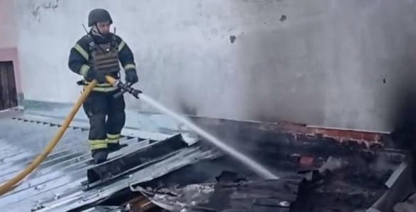 Російські дрони вбили корів на Сумській молочній фермі: трагедія на околиці