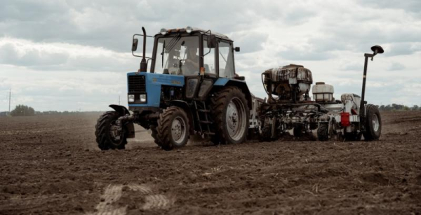 Аграрії зменшують посів озимої пшениці через дорожню логістику, каже Висоцький