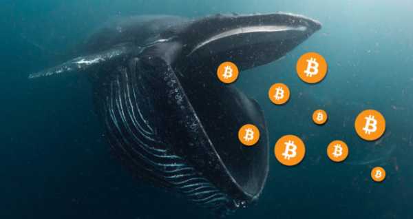 “Кити” придбали 38 000 BTC: час для зростання чи усреднення?