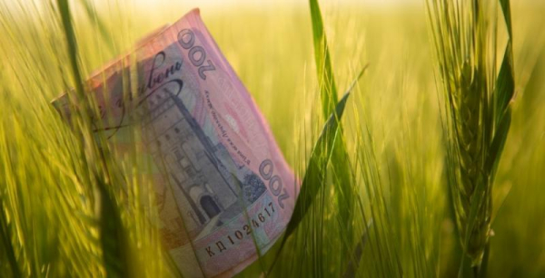 WEAGROBANK: Цифровий помічник для повного циклу фермерського сезону