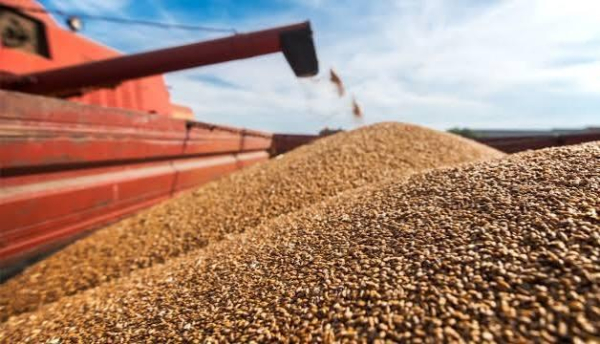 Польща блокує імпорт: Україна експортує лише третину агропродукції