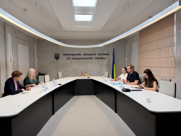 Удари РФ загрожують залишити Україну без зерносховищ уже в листопаді