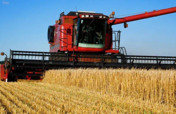 Україна нарощує агроекспорт до ЄС: топ-країни-партнери та суми угод