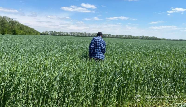 Знижують поріг бронювання: аграрні підприємства отримають більше захисту від мобілізації