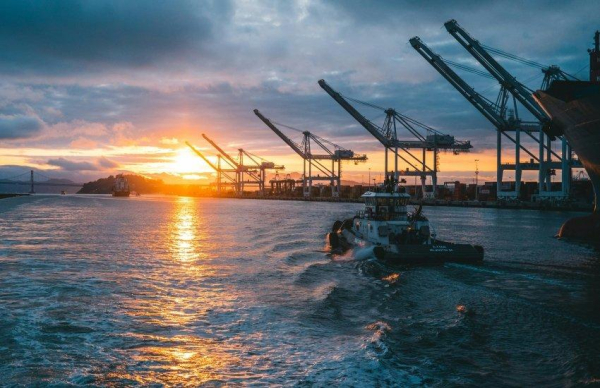 Морський коридор для зерна: Україна розблокує шлях лише за однієї умови, — Висоцький