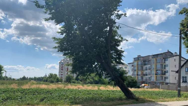 Ділянка в центрі Давидова
