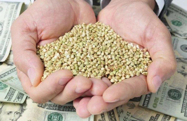 Агросектор України генерує 60% валюти: експорт злетів до ,6 млрд