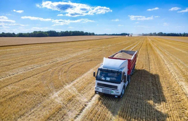 Зростання експорту агропродукції: фури везуть на 11% більше, поки морські шляхи стискаються