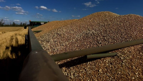 Ландекс Агро проаналізував урожайність ранніх культур сезону 2026: детальний звіт