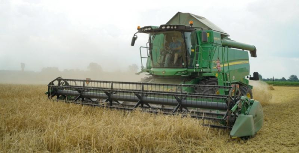 Аграрії обирають внутрішню переробку: зменшуємо залежність від портів