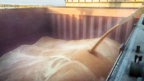 Уряд встановив нові мінімальні експортні ціни на агротовари
