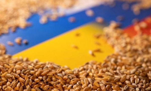 Агроекспорт України: тривожне падіння у серпні – експерти пояснюють причини